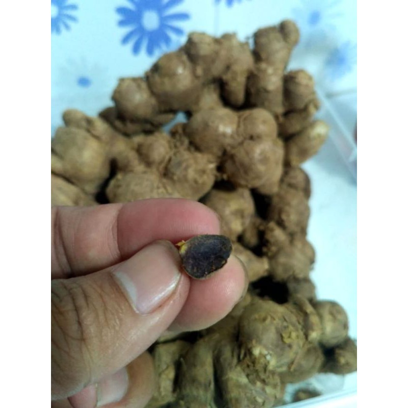 

KRNCUR HITAM