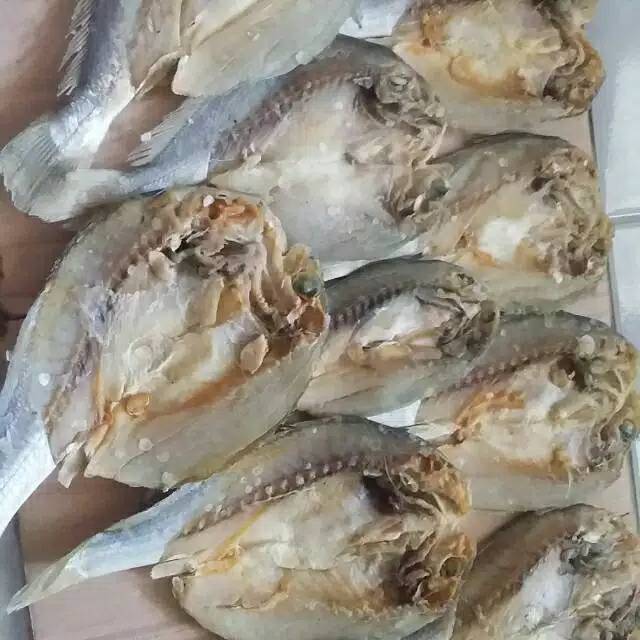 

Ikan asin samge belah atau ikan asin kepala batu