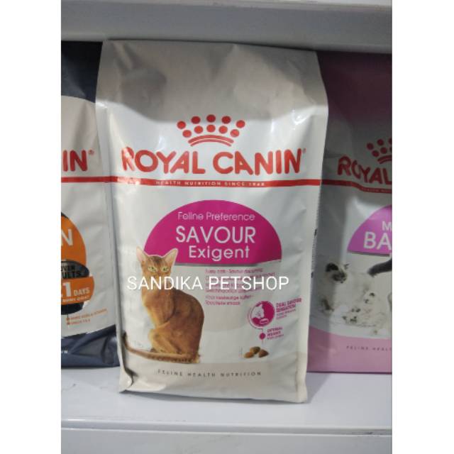 royal canin exigent untuk kitten