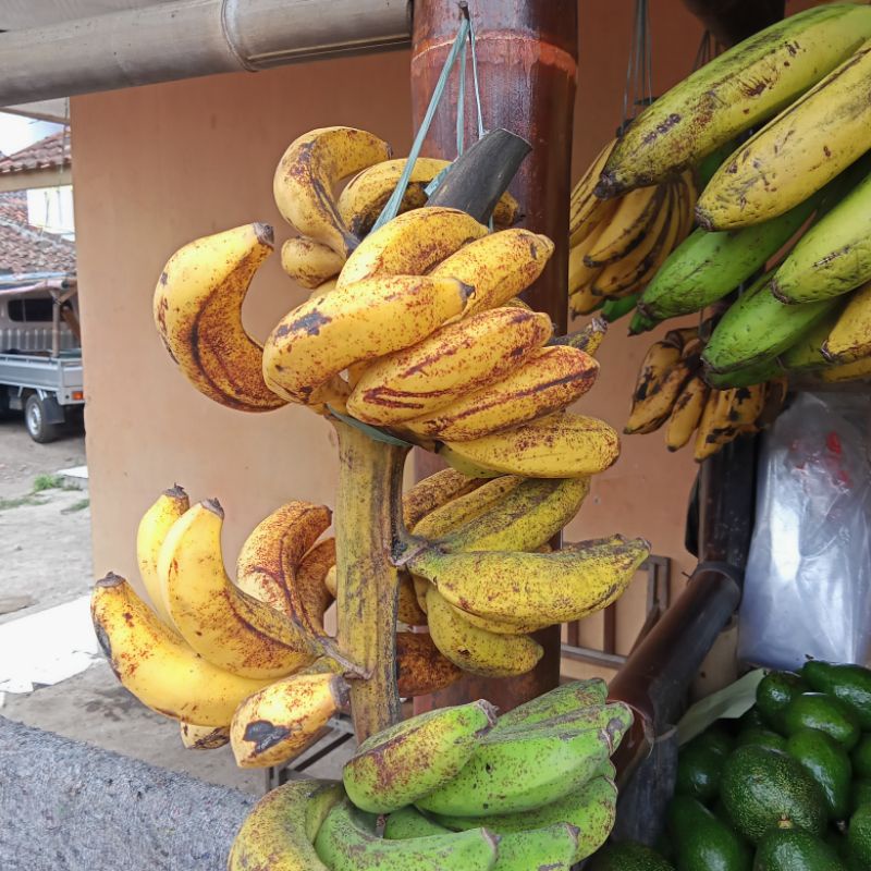 

pisang raja sere