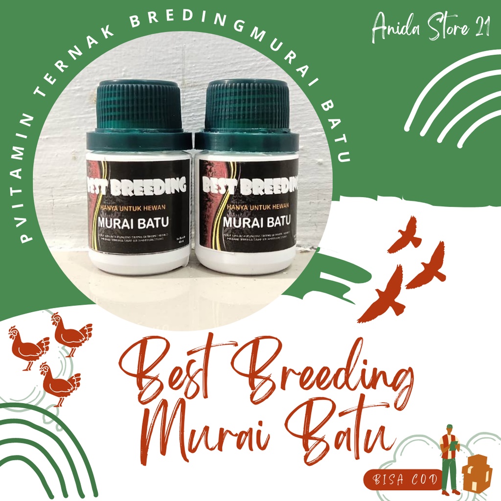 Best Breeding Murai Batu Isi 40 ml Vitamin Ternak Breding Burung Murai Batu