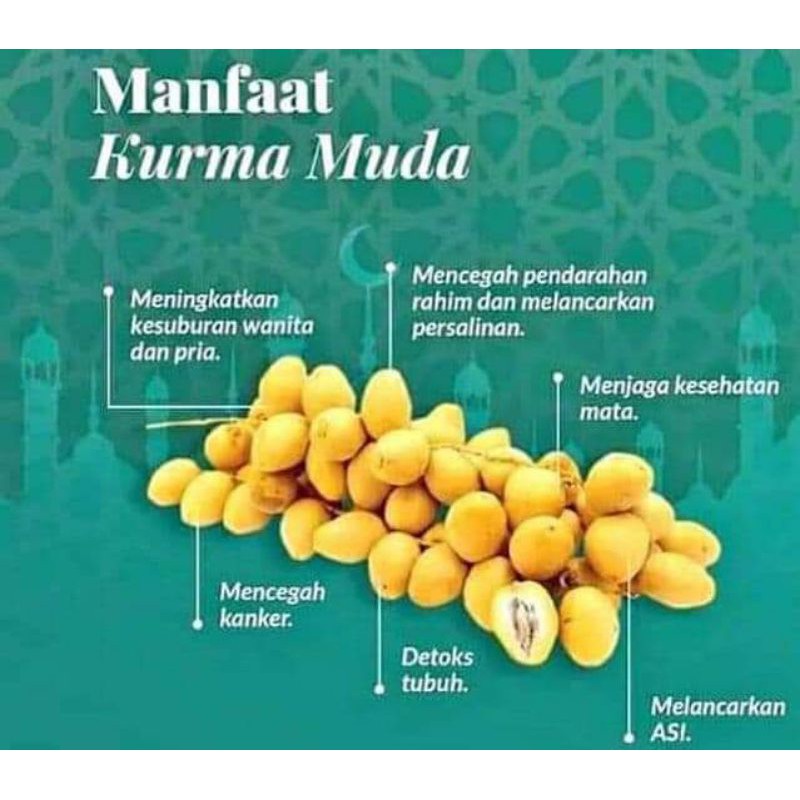 Kurma Muda Barhee Kuning Indonesia