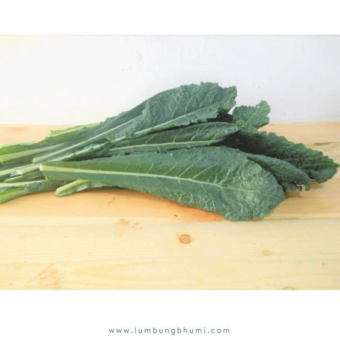 

BEST DEAL KALE NERO ( SAYUR - SAYURAN CURAH ) !!!!!!