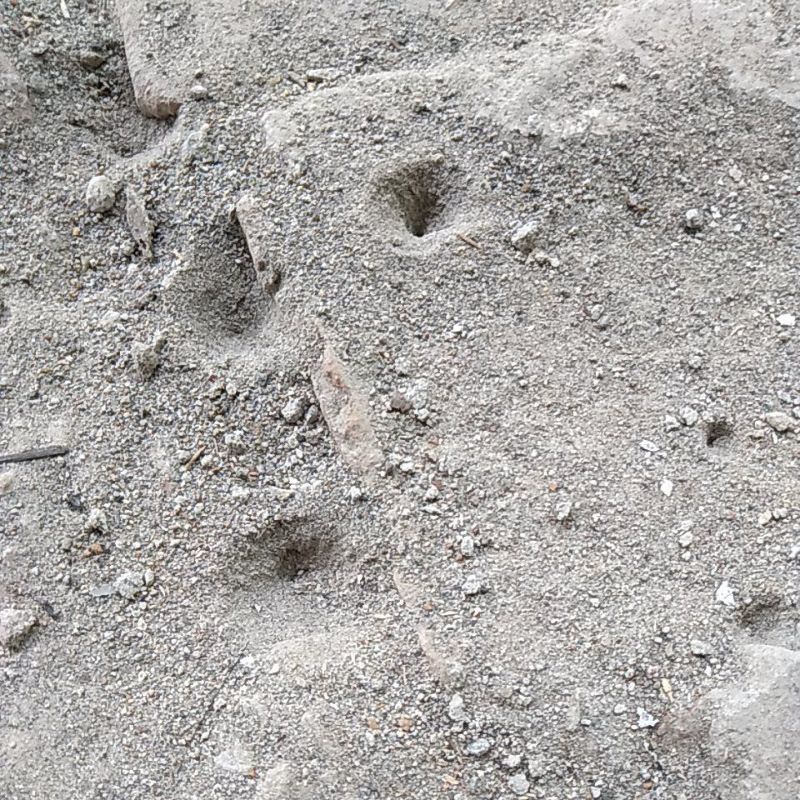 UNDUR2 HAWAN UNDUR UNDUR