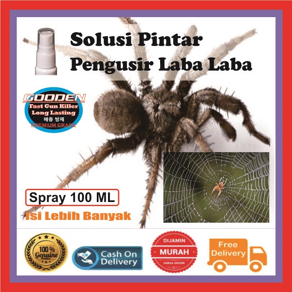 Cairan Racun Semprot Pembunuh Pengusir Pembasmi LabaLaba Lawah Lelaba Galagasi Galanggasi Kawa Spide