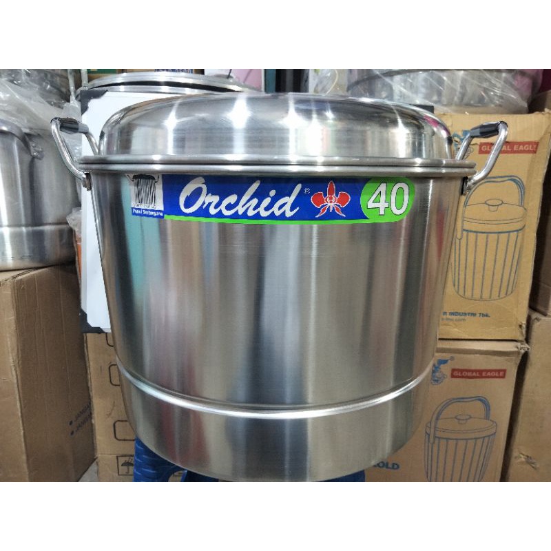 langseng/dandang orchid 40cm