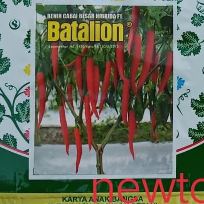 Monggo] Benih Bibit Cabe Merah Besar Hibrida Batalion F1 60 Butir Smallpack