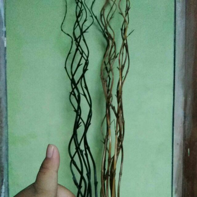 1 Btg Bambu Ulir Polos Natural 200cm (min Order 15 Btg Bisa Mix)