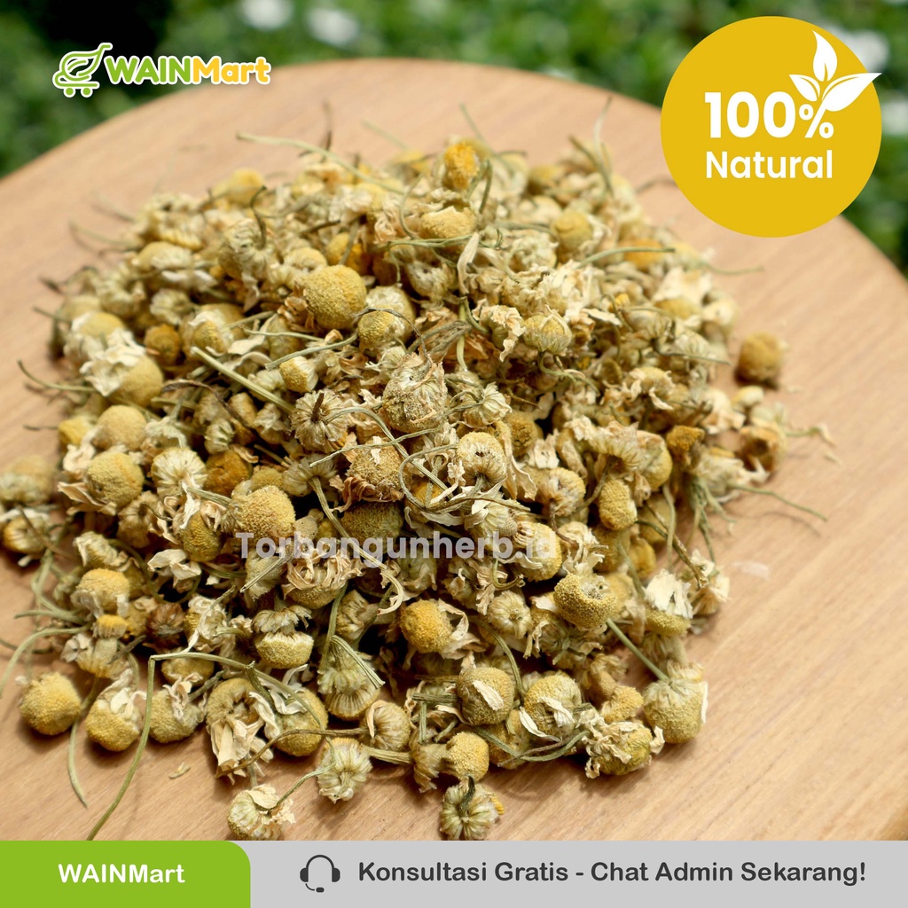 Teh Bunga Chamomile Herbal Relaksasi Anti Insomnia, Gangguan Pencernaan dan kaya Antioksidan