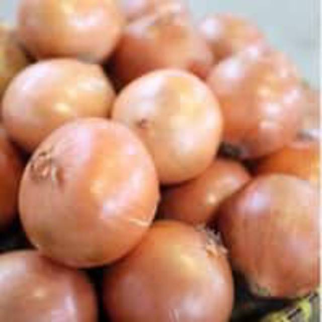 

Bawang Bombay 1kg