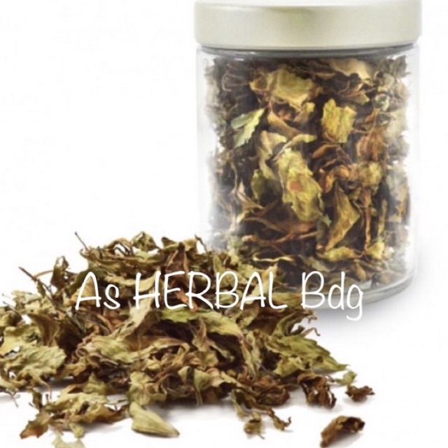 

Daun kumis kucing kering murni daun tanpa batang-az