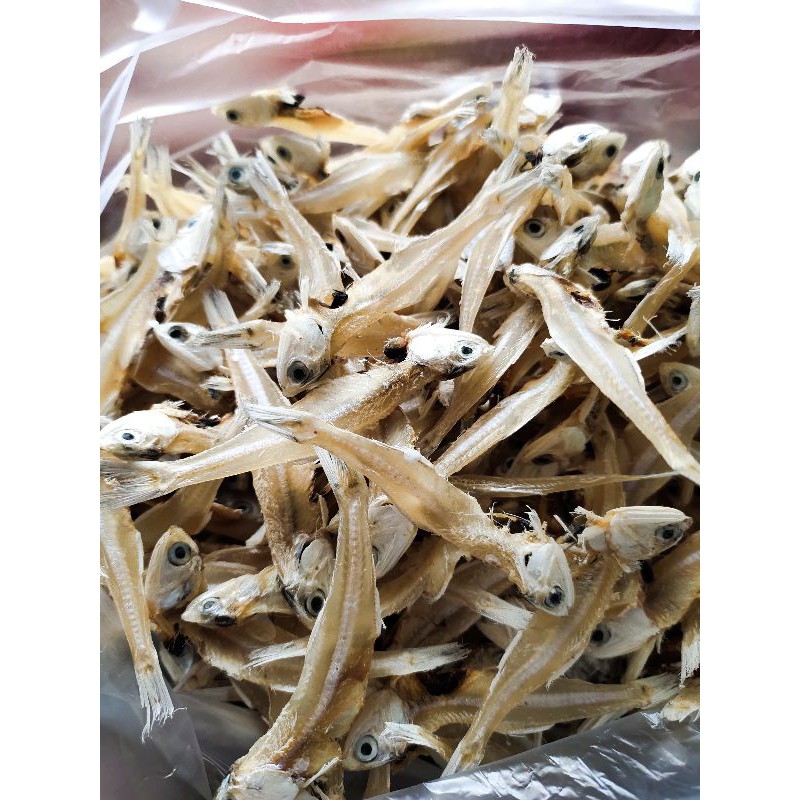 

ikan tawar katak/padang