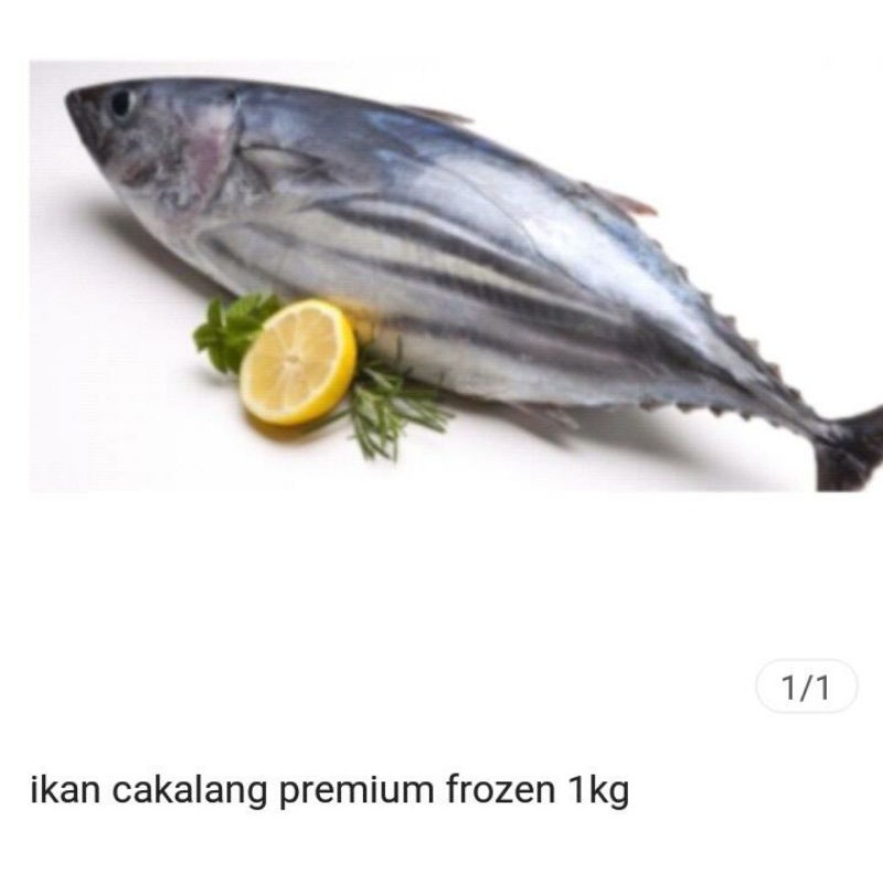 

Ikan Cakalang Premium