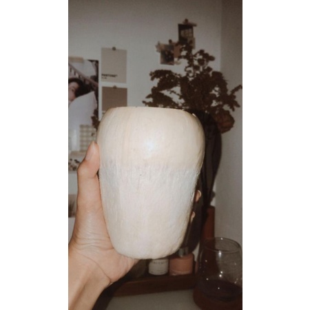 

kelapa puding
