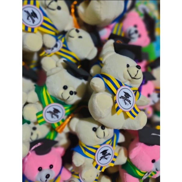 Boneka Teddy Bear wisuda/boneka wisuda