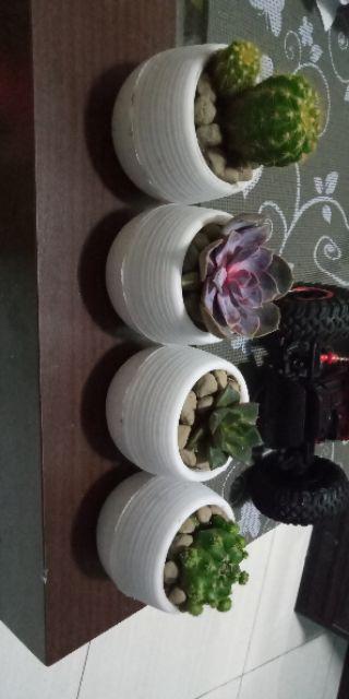 Pot Bulat Mini Vas Bunga Melamin Plastik Pot Bunga Kecil Minimalis Simple Praktis