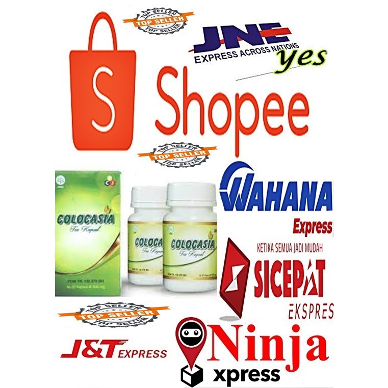COLOCASIA ASLI ORIGINAL OBAT SENDI TERBAIK DIJAMIN KHASIATNYA TOPCER - COLOCASIA OBAT SENDI ORIGINAL