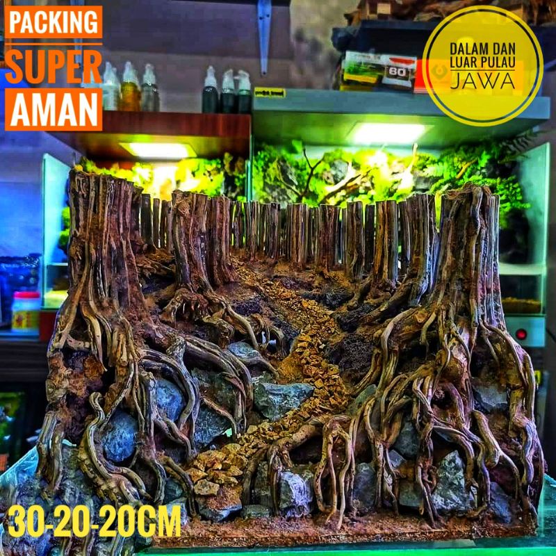 hardscape jungle aquascape