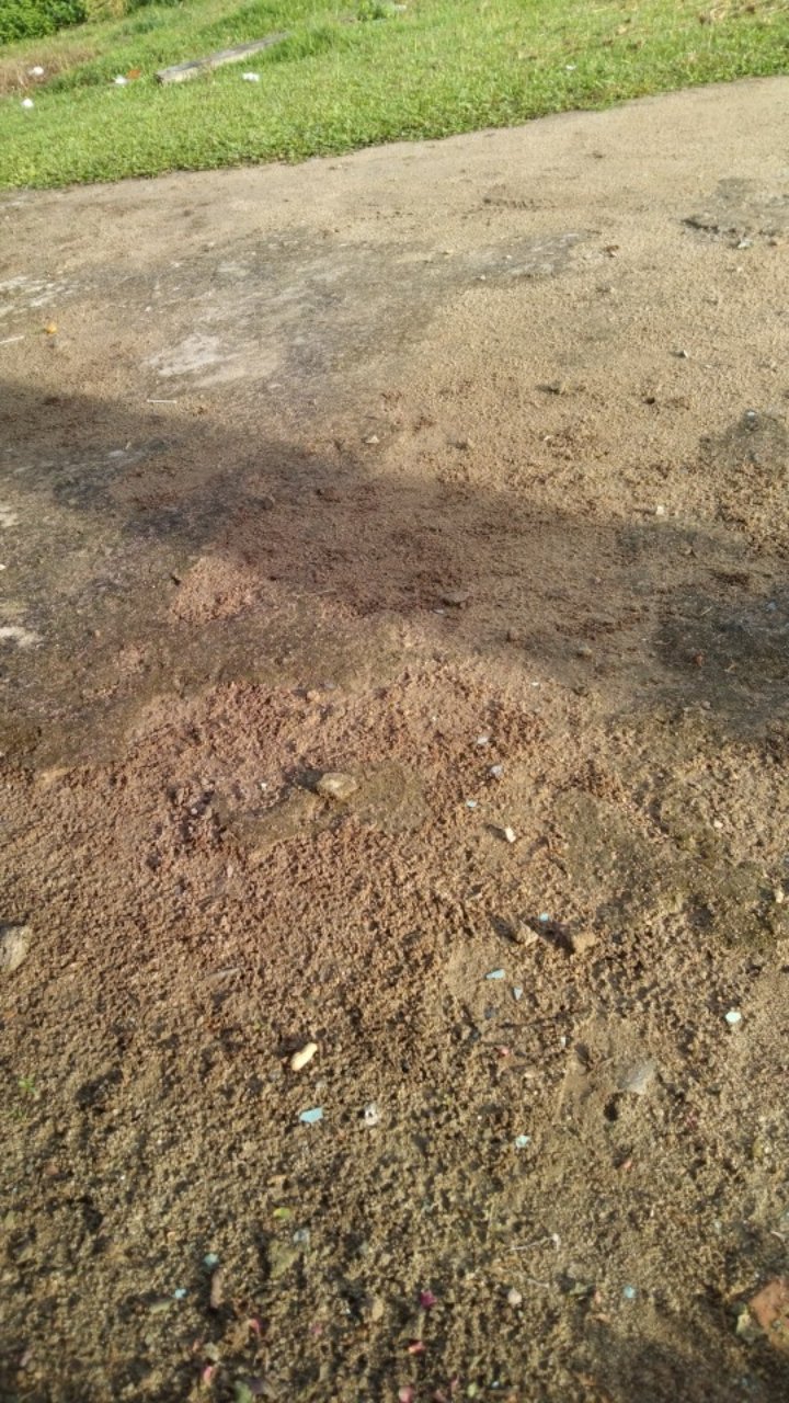 Terlaris Serut Genes Jelita Tunic Navbor Yelbor Whitbor Creambor Tunik Batik Modern