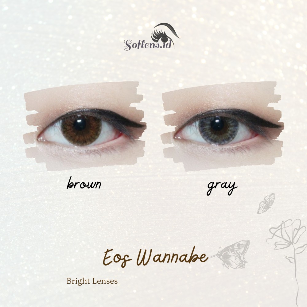 EOS Wannabe Soflens Warna Gray Brown dupe Olens Blackpink Lens