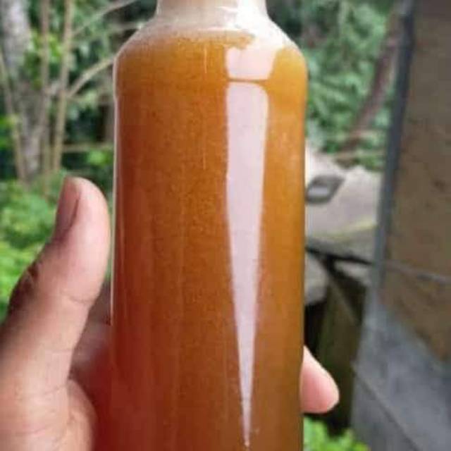 

Madu hutan baduy Murni