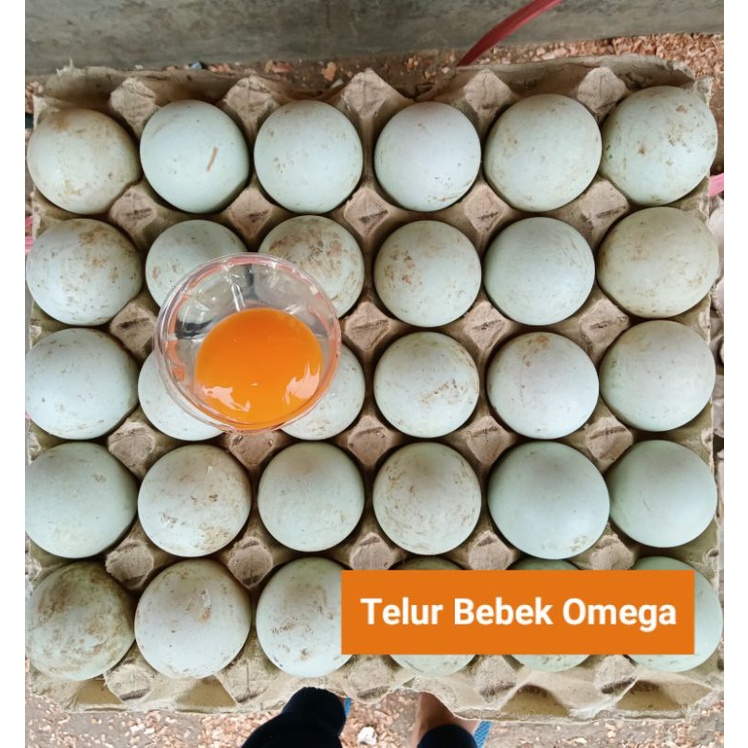 

Telur Bebek Omega 3