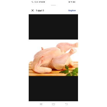 

ayam broiler potong segar