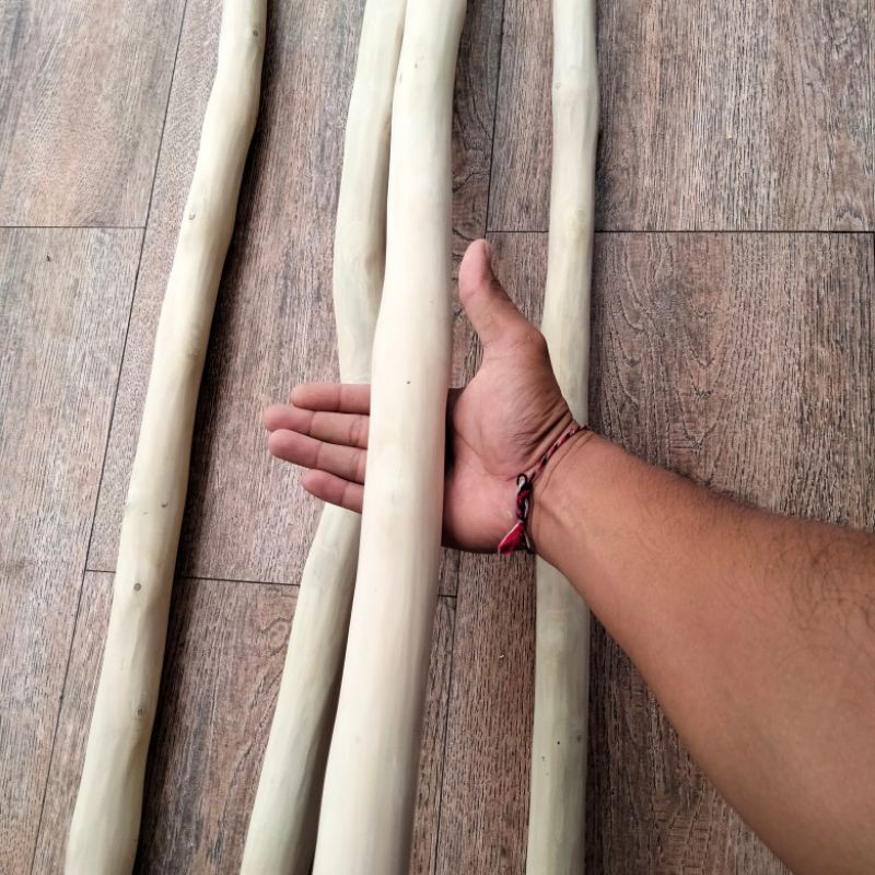 TANGKRINGAN KAYU KOPI - TANGKRINGAN BURUNG