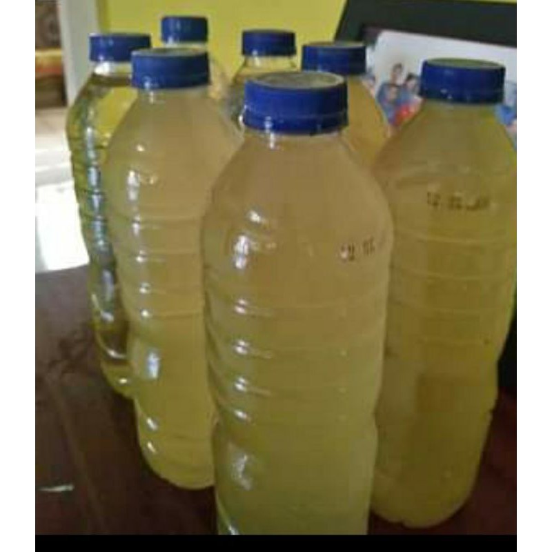 

Minyak Kampung Original khas Kotamobagu Sulut
