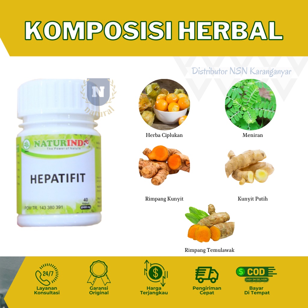Obat Liver Mata Kuning Kesehatan Organ Hati Hepatitis Obat Hepatitis B Ampuh Hepatifit Obat herbal Liver Bengkak Obat Gatal Biduran Naturindofit-2