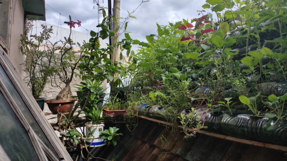 Lampu Minyak Goreng / Lampu Ublik / Lampu Jadul / Lampu Teplok