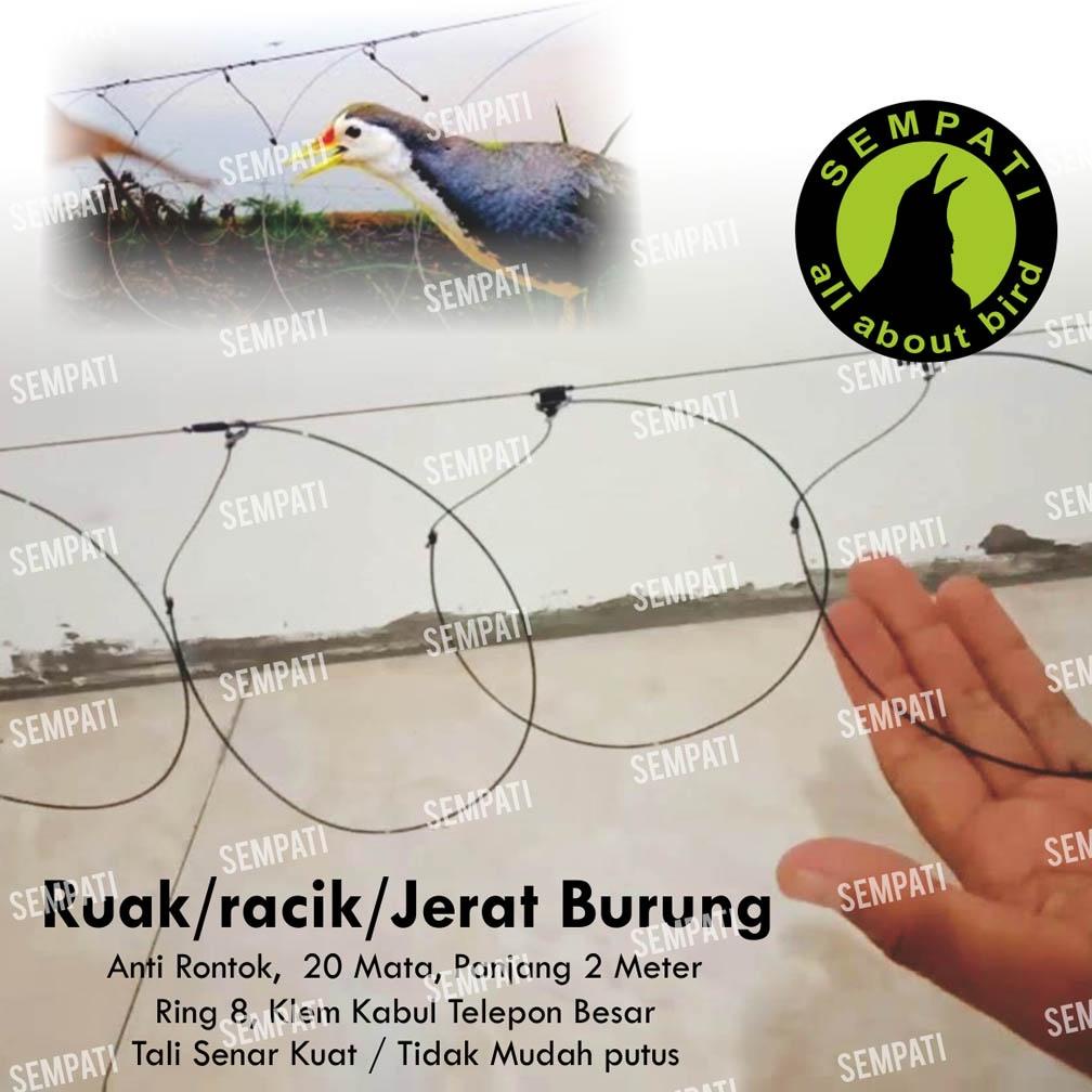 Racik Gantung Jerat Ruak Ruak Jerat Burung Jerat Ayam Racik Ruak Jebakan Jontrot Koreo Sawah Rck