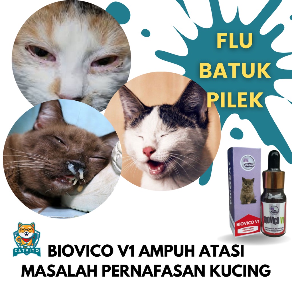 obat flu kucing BIOVICO V1 Antibiotik Pernafasan Kucing Obat Pilek Batuk Kitten Demam Anak Kucing Menyusui Hamil Sariawan Bau Mulut