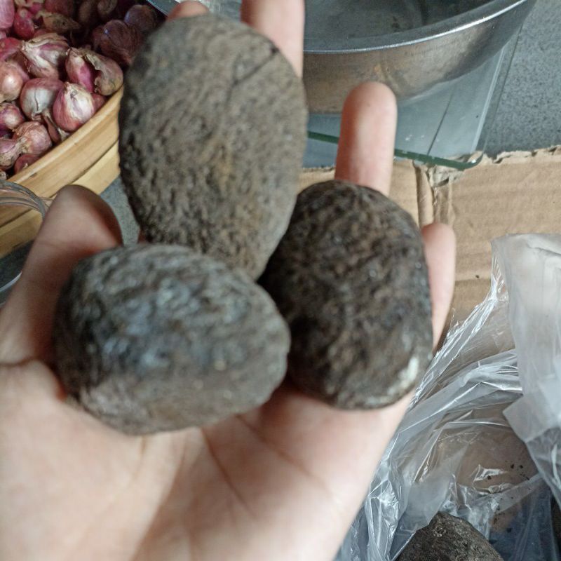 

kluwek bumbu masak
