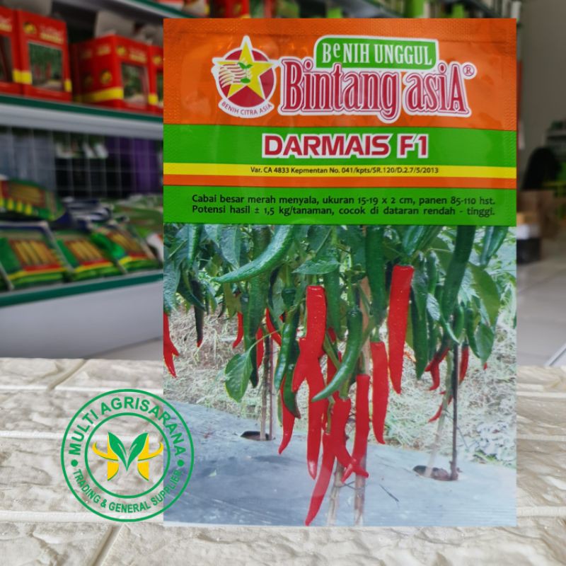 Benih Bibit Cabe Merah Besar DARMAIS F1 Bintang Asia