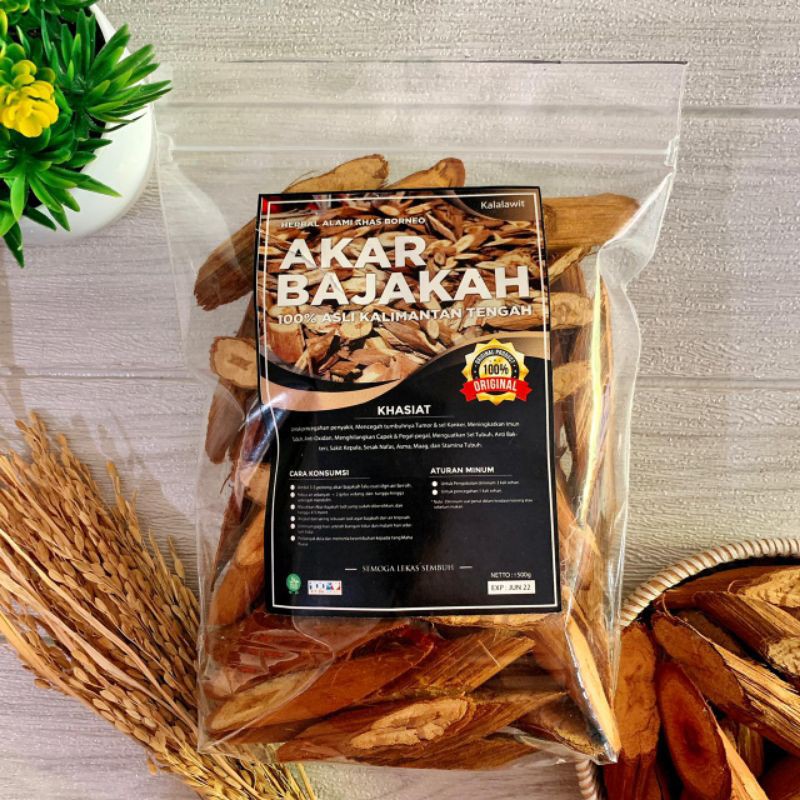 Akar Kayu Bajakah kalalawit kering Siap Seduh (100% Original) Asli Kalimantan