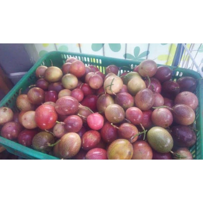 

Buah markisa