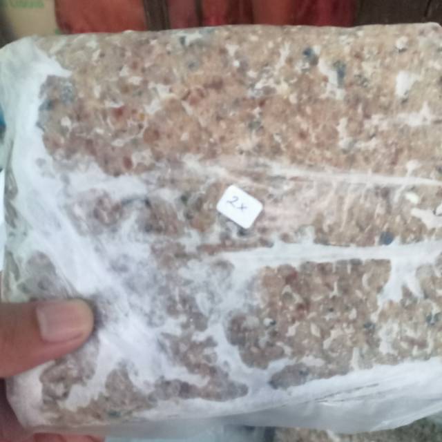 

Kulit tengiri giling
