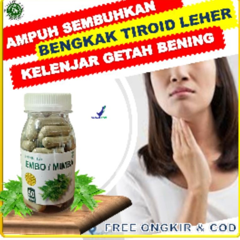 

Mimba daun embo kapsul herbal obat tiroid getah bening gatal borok paket penyembuhan isi 5