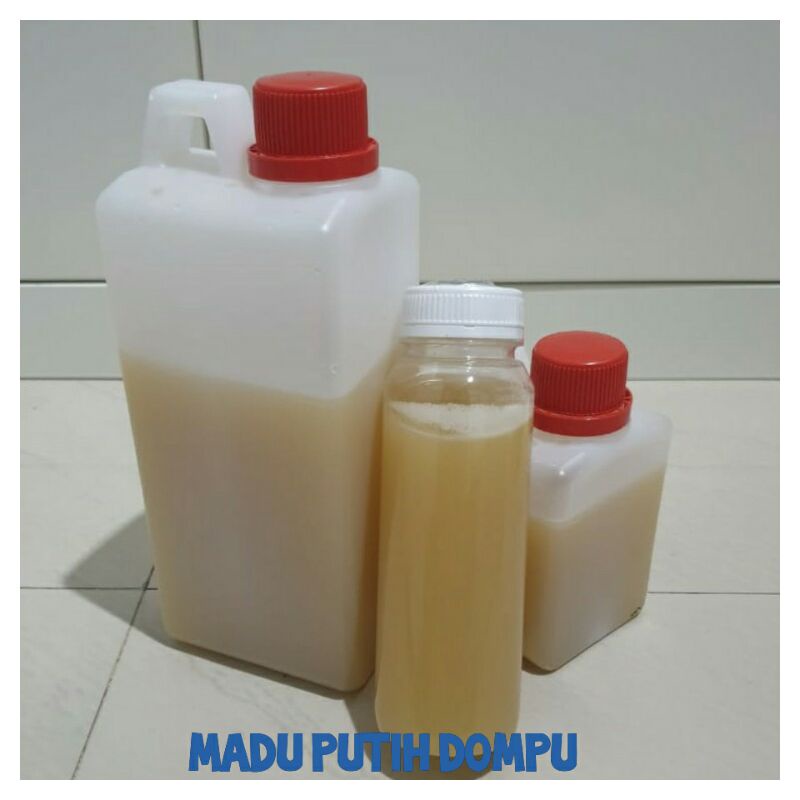 

MADU PUTIH DOMPU ASLI 100% NETTO 1KG