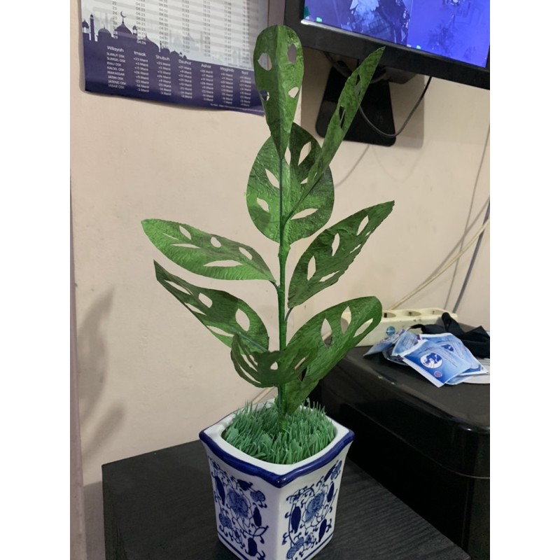 Pohon Janda Bolong Artifisial / Plastik