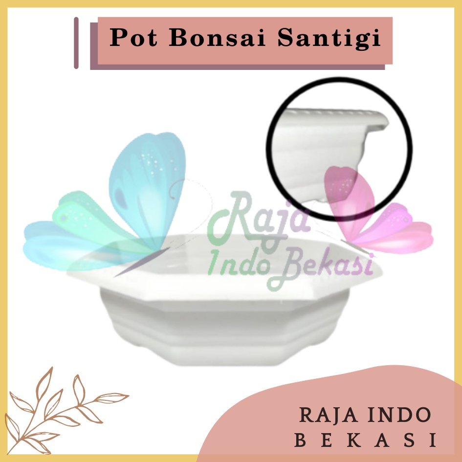 Pot Bonsai Santigi 30 Putih Bonsai Segi 8 By Garden Of Love Pot Bonsai Plastik Kotak Ceper Kelapa