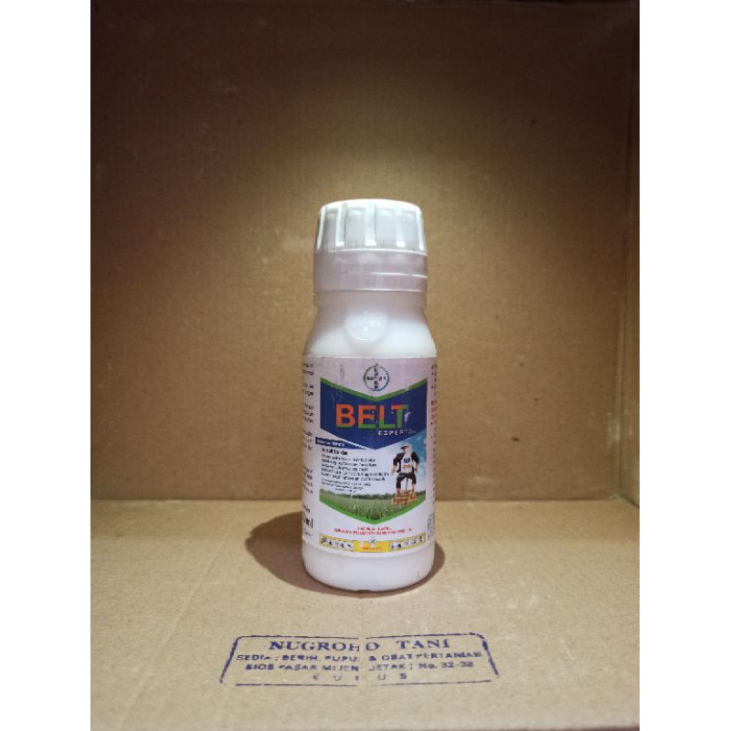 INSEKTISIDA BELT EXPERT 480 SC 100 ML PENGENDALI SUNDEP DAN BELOK