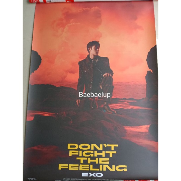 Poster d.o dftf pb 1