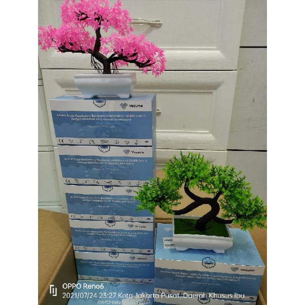 Swab Antigen Mandiri Vazyme 100% Original