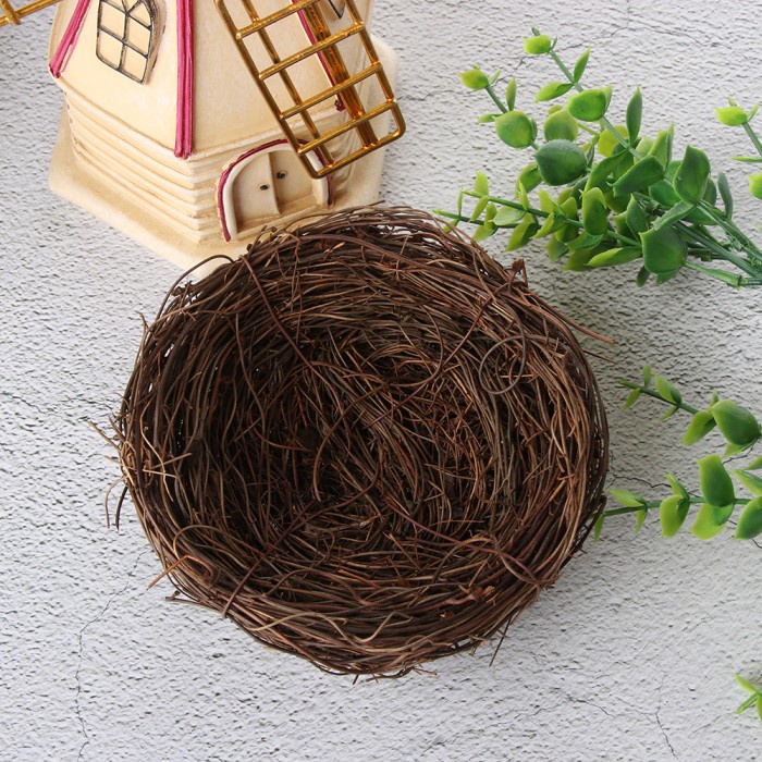 Triple W Bird Nest Sarang Burung Asli Properti Foto Fotografi Dekorasi