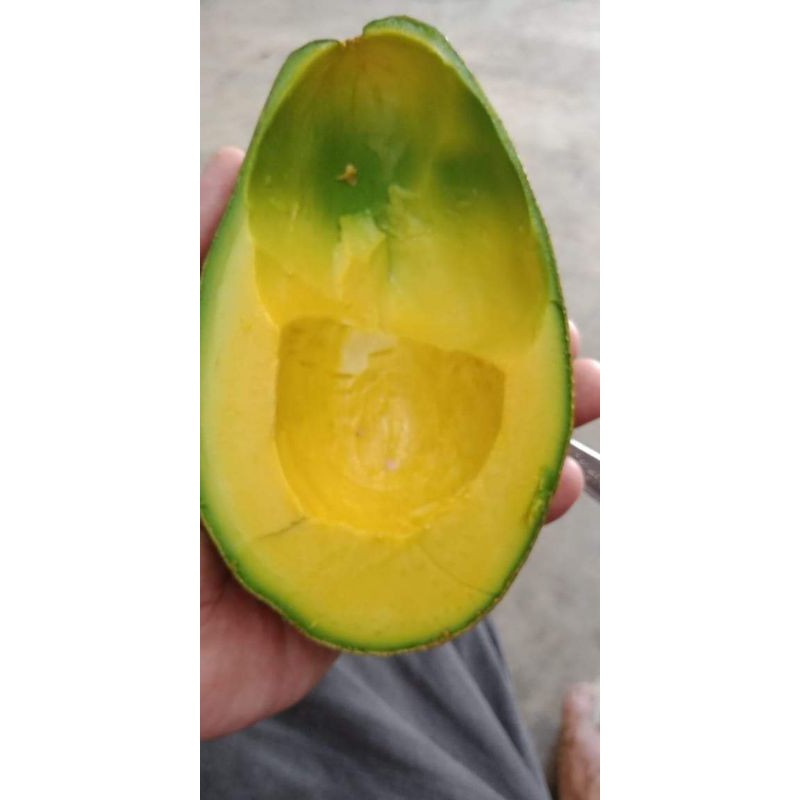 

AlPUKET MENTEGA MURIA