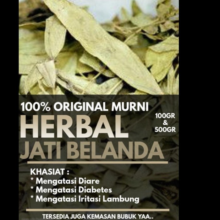 

Daun Jati Belanda Kering 500 gr (1/2 kg) Asli Ori Kwalitas bagus Untuk Pelangsing Tubuh