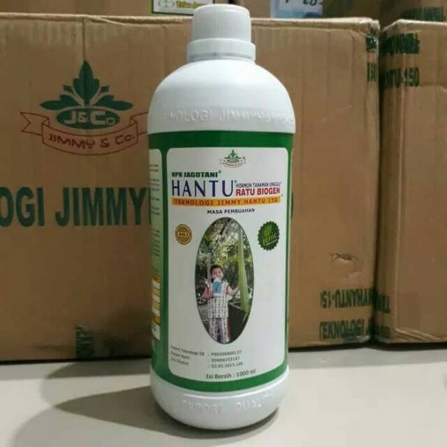 930 Contoh Gambar Hantu Raya Terbaik