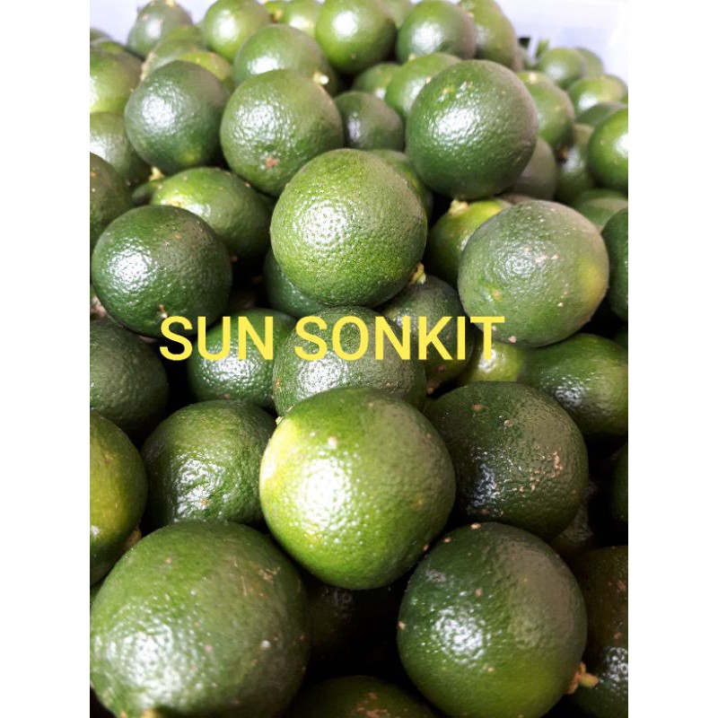 

LEMON CUI MURAH 1KG / JERUK SONKIT / JERUK KUNCI / JERUK KIETNA / JERUK KASTURI